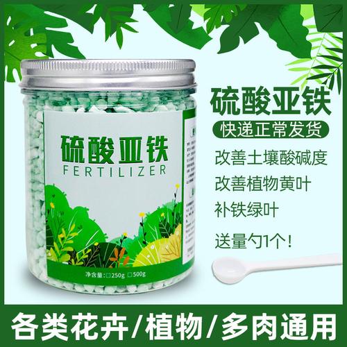 铁树怎么用硫酸亚铁？如何有效利用硫酸亚铁为植物补铁