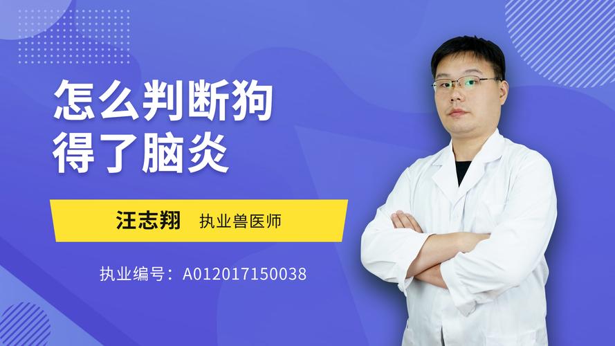 狗得脑炎的症状？狗中毒跟脑炎如何辨别