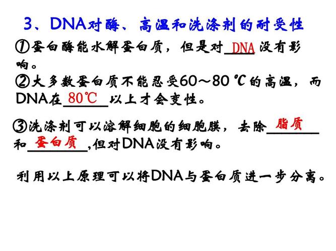 dna水解和彻底水解产物有何不同？如何将dna彻底破坏