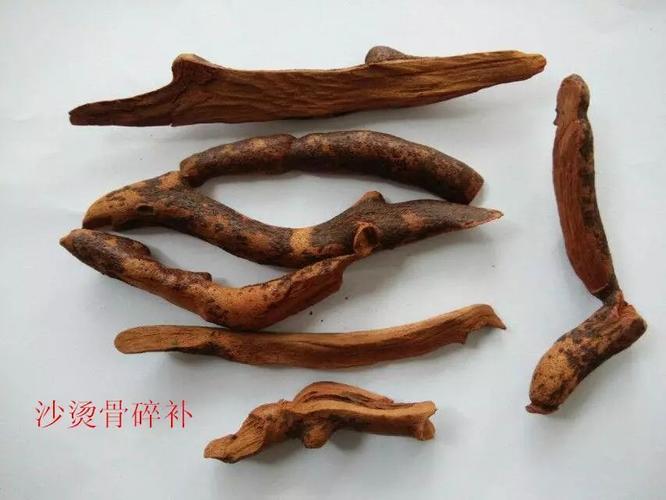 中药碎骨补和骨碎补是同一种药吗,什么作用？骨碎补如何治牙疼