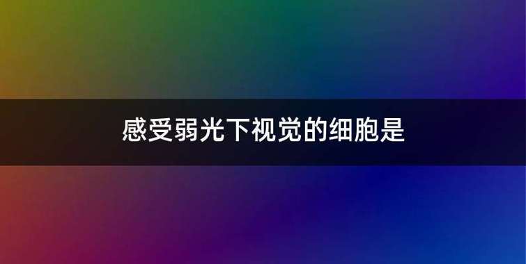 感受弱光下视觉的细胞是？光如何通过节细胞层 意义