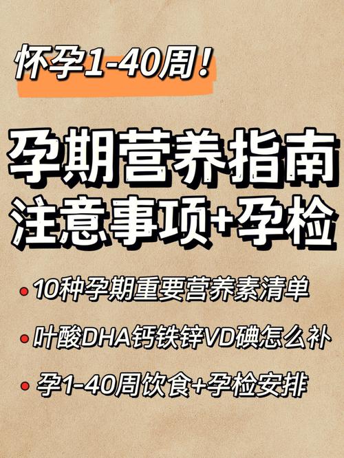 早孕注意事项和补充营养？怀孕如何补充营养