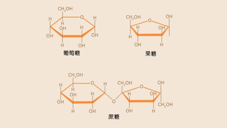 果糖分解产物？单糖如何熬制果糖