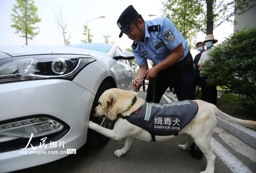 缉毒犬靠什么器官缉毒？如何通过气味识别毒品