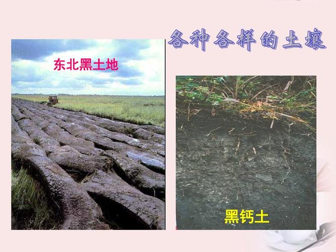 黑钙土和黑土有什么区别？如何合理利用黑钙土