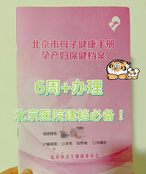 母子健康档案办理须知？在北京如何办母子健康档案