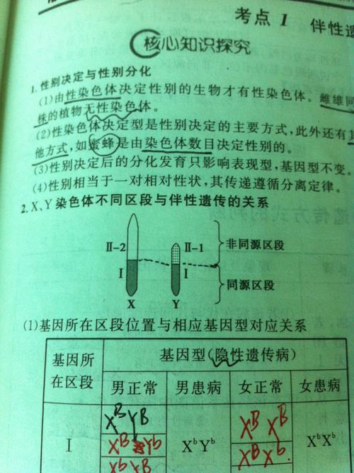 xy同源染色体上的基因是什么遗传方式？如何改变XY染色体