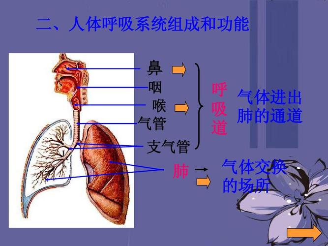 吸入的气体首先进入哪个心房？如何保护呼吸系统