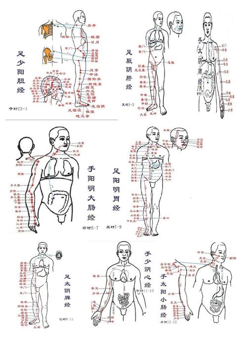 人体的穴位如何学，先从哪里学起，那么多的穴位该怎么记？如何好记这些经络