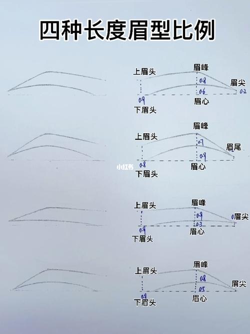 眉毛长度多少算正常？如何确定眉毛长度