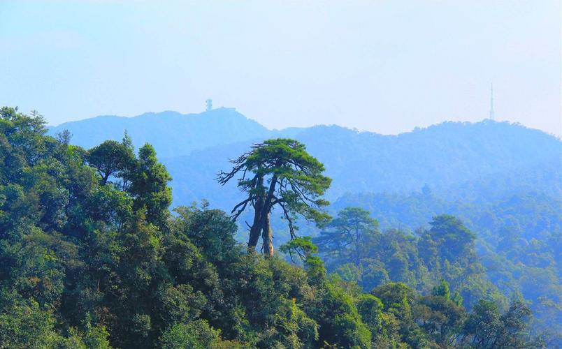 大明山景点介绍？（龙头山橄榄花生营养油）