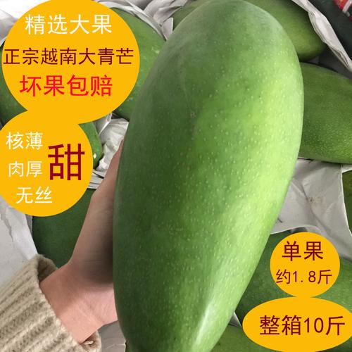 攀枝花绿芒果可以直接吃吗？（绿芒果的营养价值）