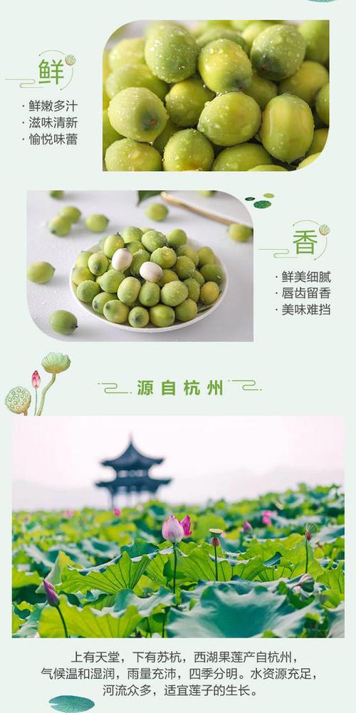 西湖果莲怎么吃？（西湖的营养价值）