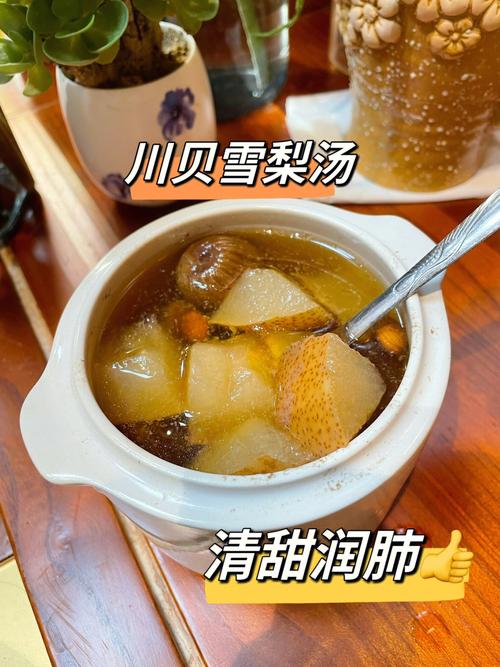 川贝汤的做法及配料？（川贝营养成分）