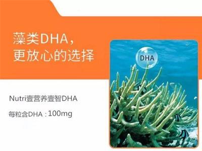 壹营养DHA与海王星DHA的区别？（壹营养dha价格多少）