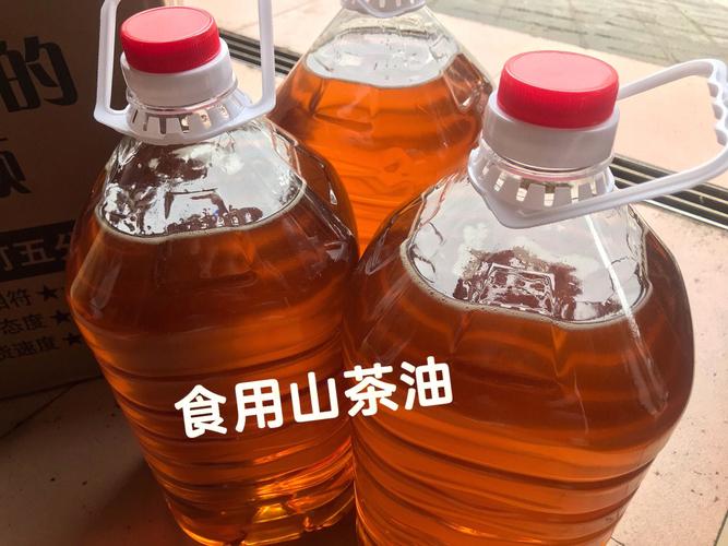 茶油怎么吃？（茶油营养与健康）