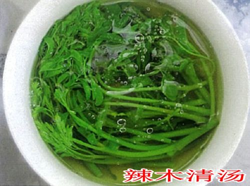 辣木菜怎么做？（辣木菜的营养价值）