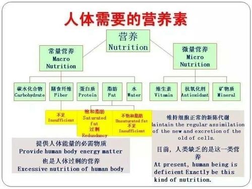 人体靠哪个器官吸营养？（力存营养素）