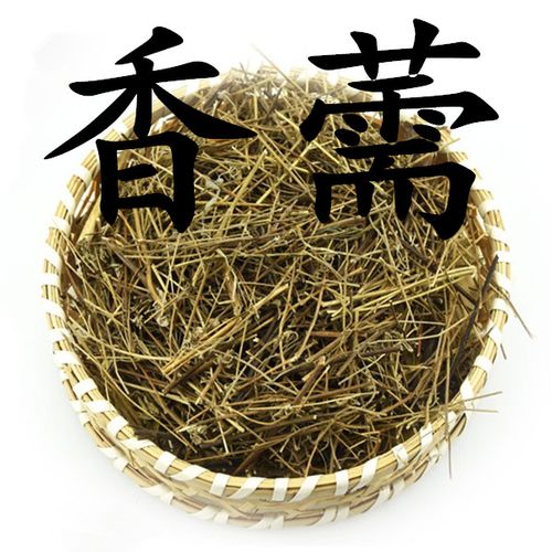 香草味又叫什么？（香草营养价值）