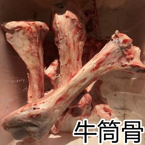 动物骨头可以保存多久？（牛大骨头营养）