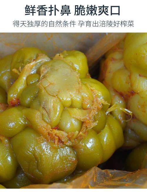 制作榨菜用的青菜头有什么特点？（榨菜头的营养）