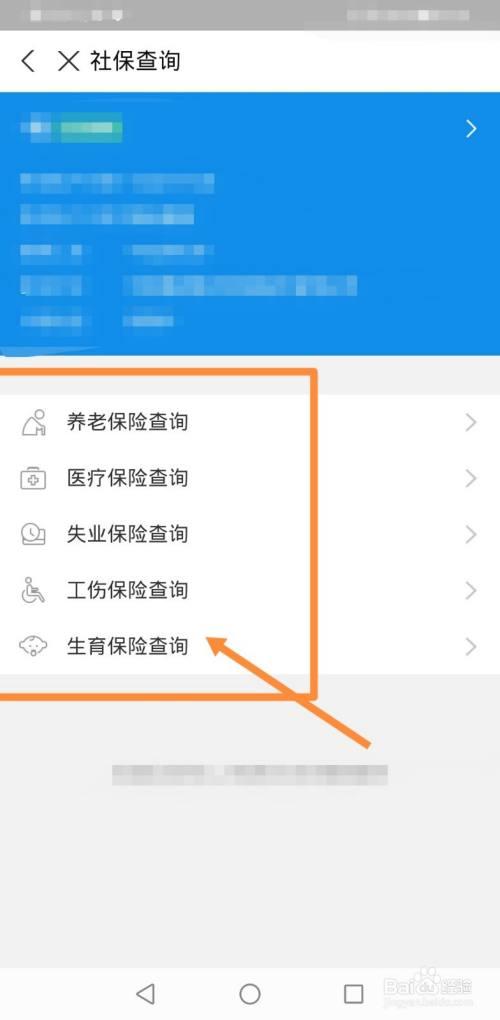 产后营养费怎么在社保卡查询？（社保生育营养费）