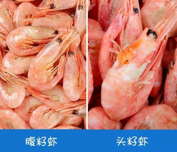 元宝虾的籽有好处吗？（子虾的营养）