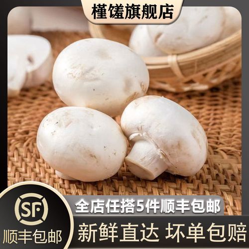 白色菌子可以吃吗？（白口蘑营养价值）