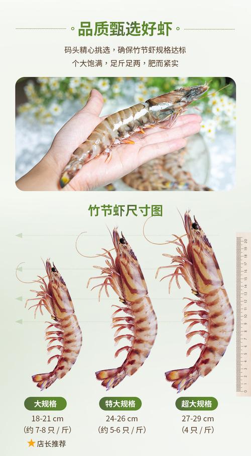 竹节虾和白虾哪个好？（竹节虾营养价值）