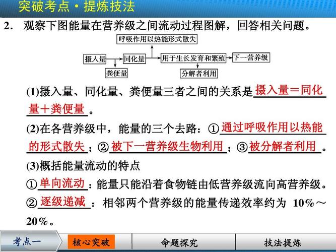 生物中，为什么营养级越高，得到的能量越少?难道吃肉得到的能量还比不过吃草获得的能量吗?求解答？（吃草有营养吗）