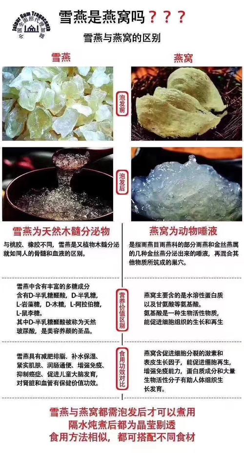 雪燕和燕窝有什么区别？（肠外营养华瑞）