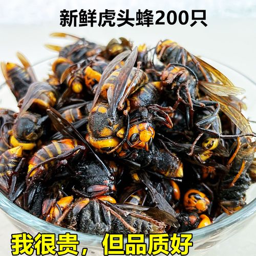 大马蜂蜂儿能吃吗？（胡蜂的营养价值）