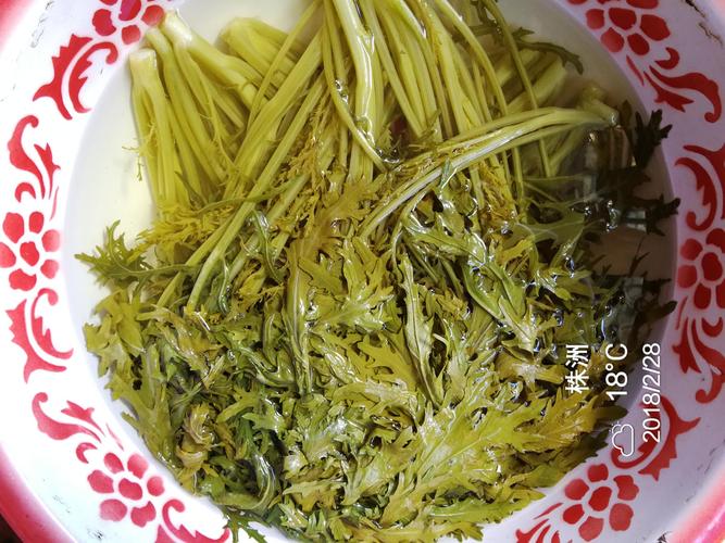 黄菜泡多久？（黄菜的营养价值）