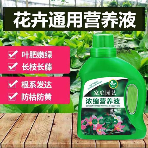 种花用什么营养液好？（观叶植物专用营养液）