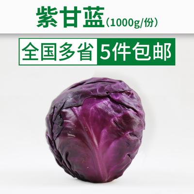 紫球生菜是什么，是不是紫甘蓝？（球生菜的营养）