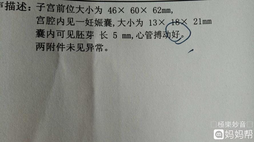 早孕检查可见原始心管搏动，这是什么意思啊？（心管营养价值）