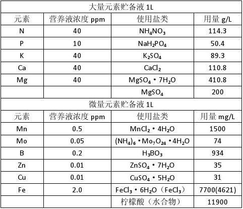 水稻怎样施用尿素？（水稻水培营养液配方）