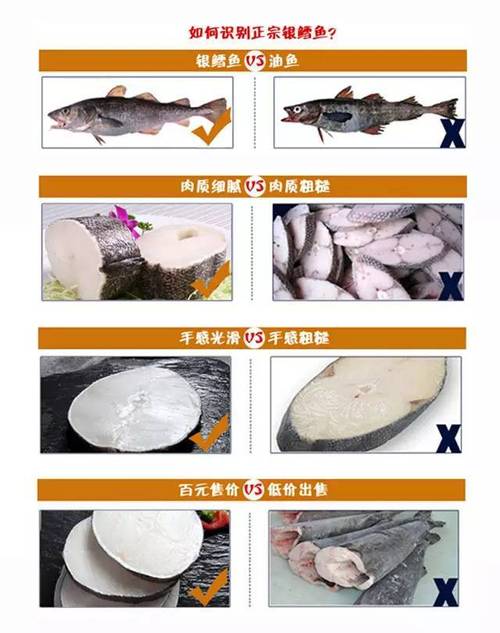 狭鳕鱼与鳕鱼的区别？（狭鳕营养）