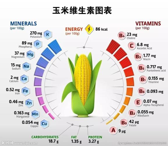 玉米压片和玉米的区别？（玉米粒营养成分）