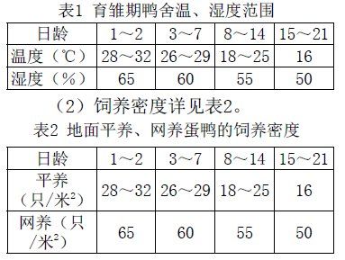 蛋鸭营养需要量推荐量是多少？（蛋鸭营养需要）