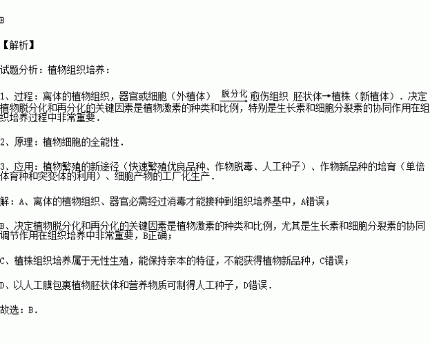 高中生物：为什么用细胞分裂素可以保鲜刚收获的农产品？（细胞营养疗法）