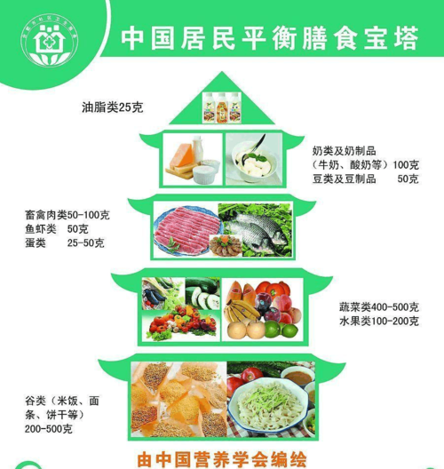 中国营养膳食宝塔是谁提出来？（中国居民营养膳食宝塔）