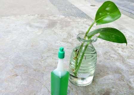 鱼缸可以加植物营养液吗？（水生植物 营养液）