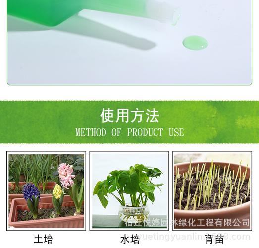 水培植物的营养液的成分是什么？（水培植物营养液成分）