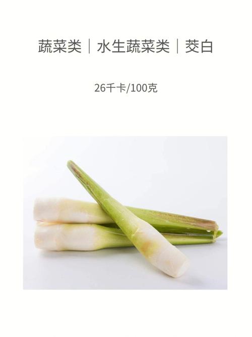 茭白属于蔬菜还是主食？（胶白营养价值）