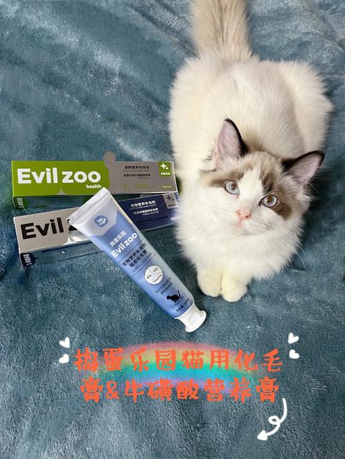 猫咪营养膏有必要吗？（小猫不吃营养膏）