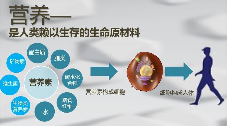 三大自然科学的哲学意义是什么？（世纪医生细胞营养深层）