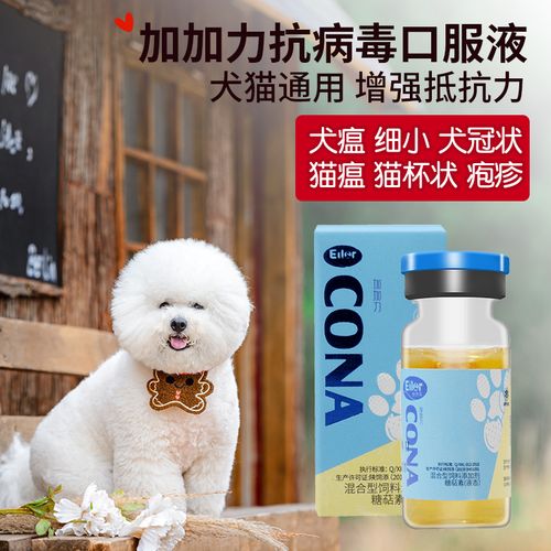 犬瘟热特效药？（狗狗犬瘟吃营养膏吗）