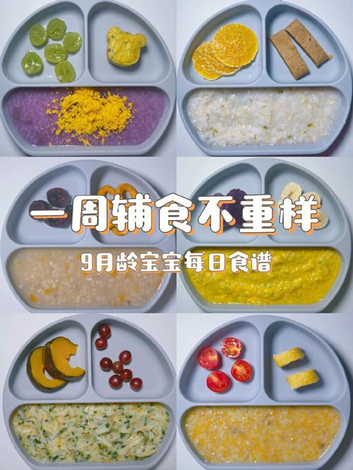 9到10个月宝宝辅食食谱有哪些？宝宝9个月了，想给他加辅食了？（9个月婴儿营养食谱）