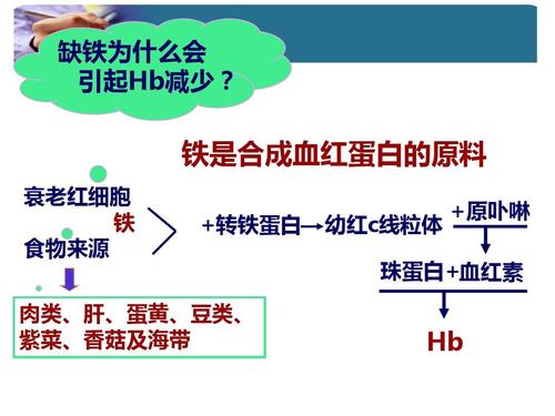 化学中缺铁是什么原因？（营养性缺铁性贫血病因）